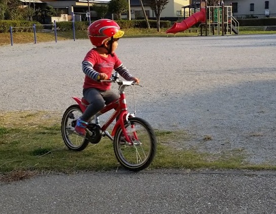 一人 で 自転車 何 歳 から