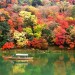 京都で子連れにおすすめの紅葉スポットはここ！周辺の宿泊は格安で決まり！嵐山でお食事おすすめは？